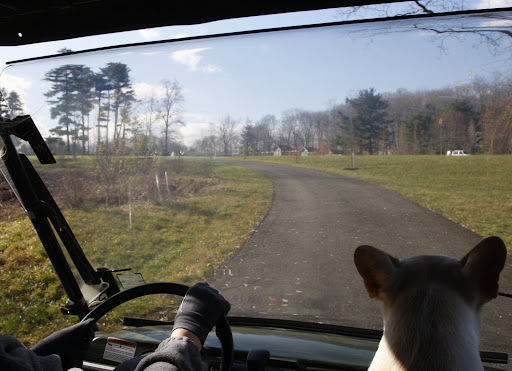 Out of the woods and driving towards the chicken coops
