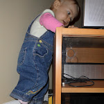 SAM_2429.JPG