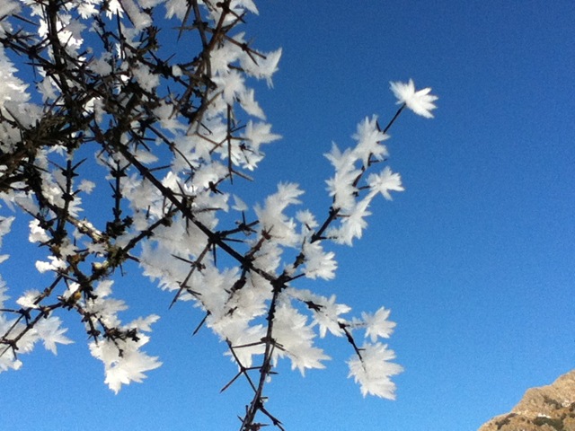 [IMG_0674%255B2%255D.jpg]