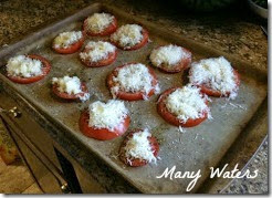 Many Waters Roasted Tomatoes before being cooked