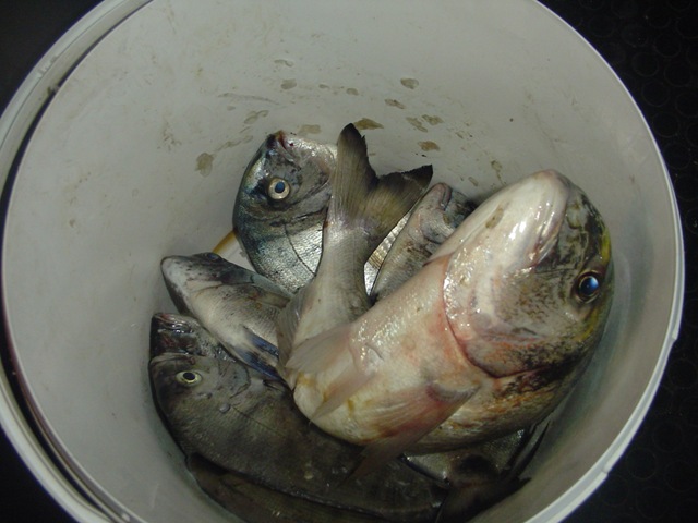 [DSC02080%255B3%255D.jpg]
