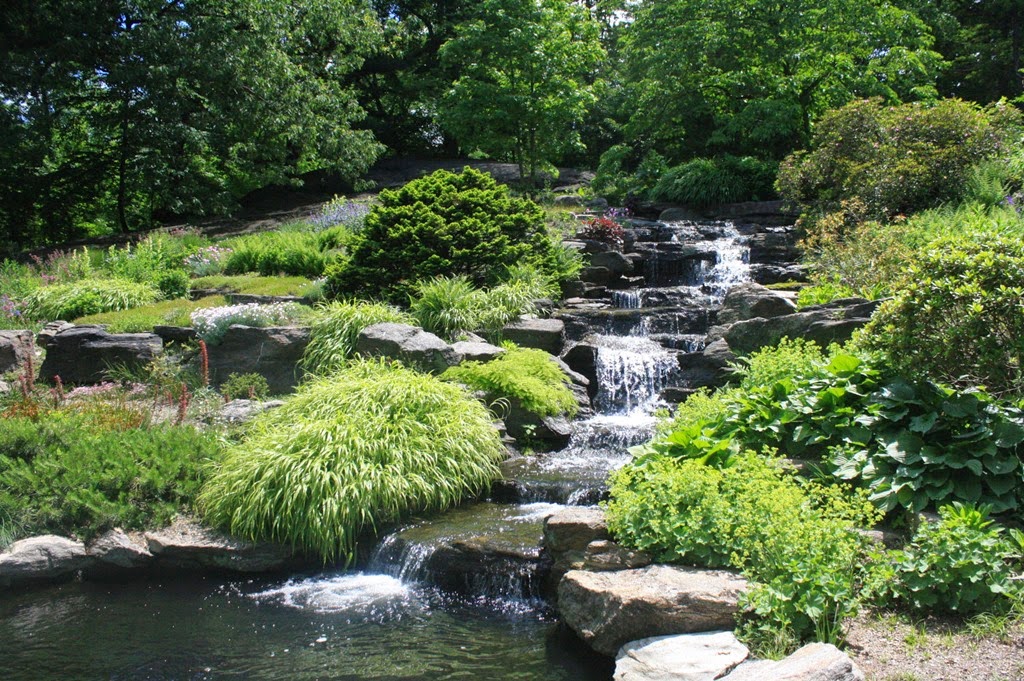 [nybg-new-york-botanic-gardens-bronx%255B3%255D.jpg]