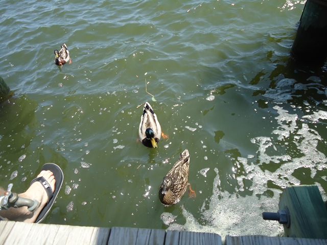 [DSC04223%255B1%255D.jpg]