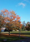 Tervasaari park in autumn