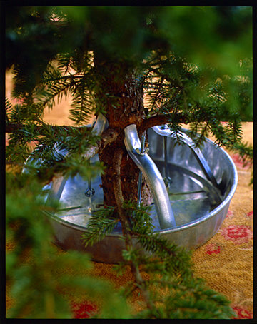 This aluminum stand is good because the four supports adjust to fit any tree. This aluminum stand is good because the four supports adjust to fit any tree.
