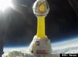 RUBBER CHICKEN IN SPACE