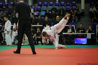 IMG_2630.jpg