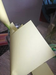 IMG_1397 IMG_1397