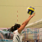 img028.jpg