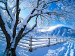 Neve.jpg