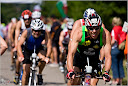 Roth_2010_207.jpg