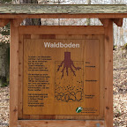 singold-bote_waldlehrpfad-schwabegg_008.jpg