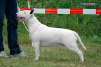 Astra Zeruel