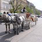 Krakow 008.jpg Krakow 008.jpg