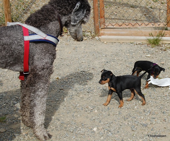 [DSC_6105%255B3%255D.jpg]