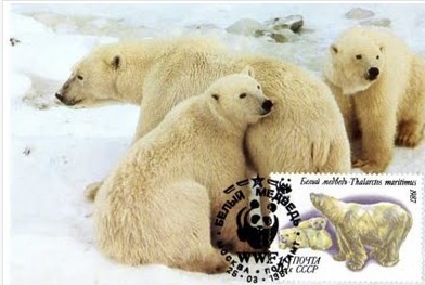 [Screenshot_7%255B12%255D.jpg]