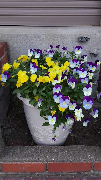 2014-05-31 16.11.53.jpg