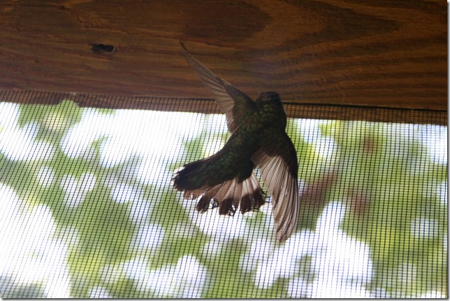IMG_7865 IMG_7865