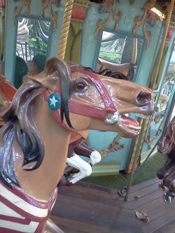 [horsecarousel%255B3%255D.jpg]