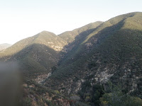 PC012361.JPG Photo