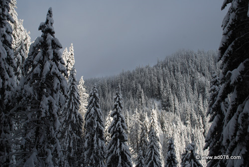 DSC_2195.jpg