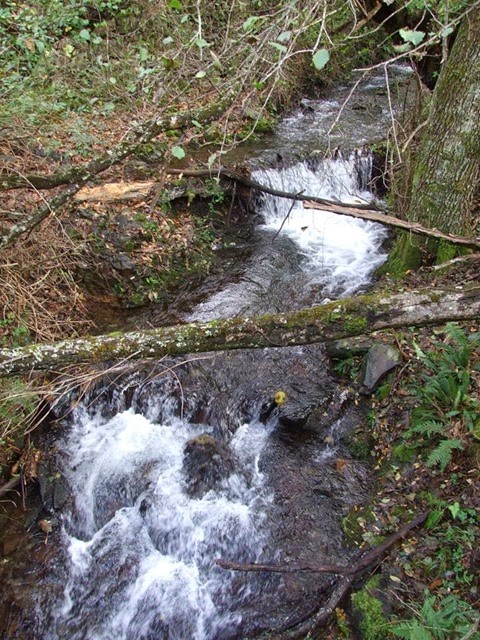 1794690_520061531430817_4951204093617146669_n