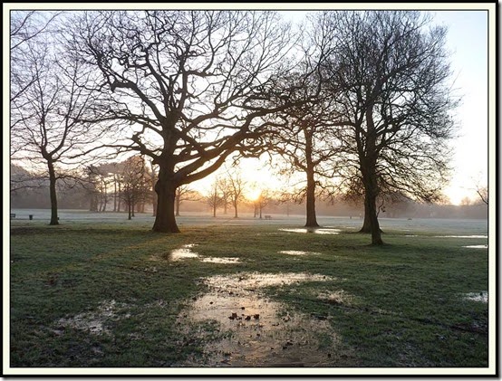 14122701parkrun1