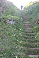 IMG_6054.JPG Photo