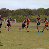 IMG_7247.JPG