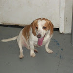 DSCN3570.jpg