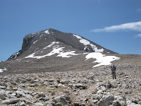 Wheeler Peak trail at 12,000' Photo