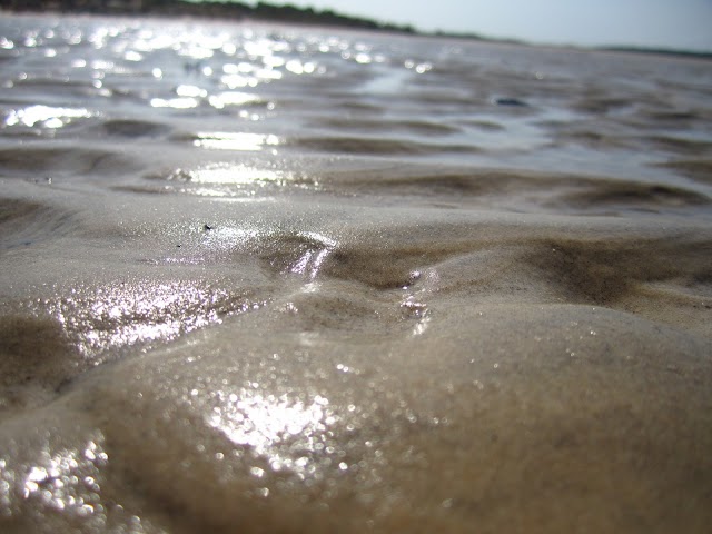 IMG_2291.JPG
