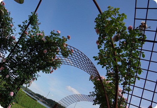 DSC02807 DSC02807