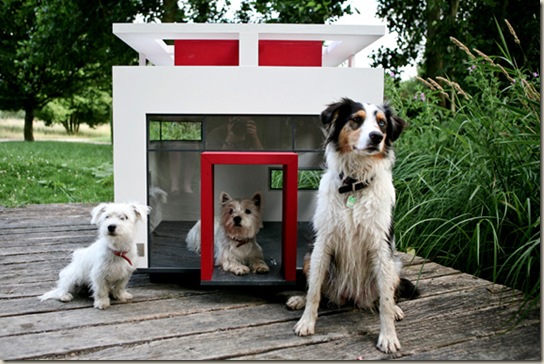 cubix-dog-mansion