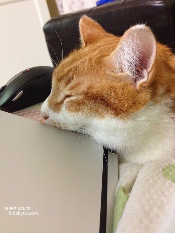 調整大小IMG_4492 調整大小IMG_4492