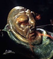 [hitchhikers_guide_vorgon%255B3%255D.jpg]