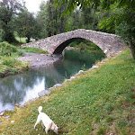 IMG_1963.JPG