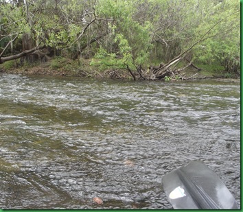 This river was cutting no slack