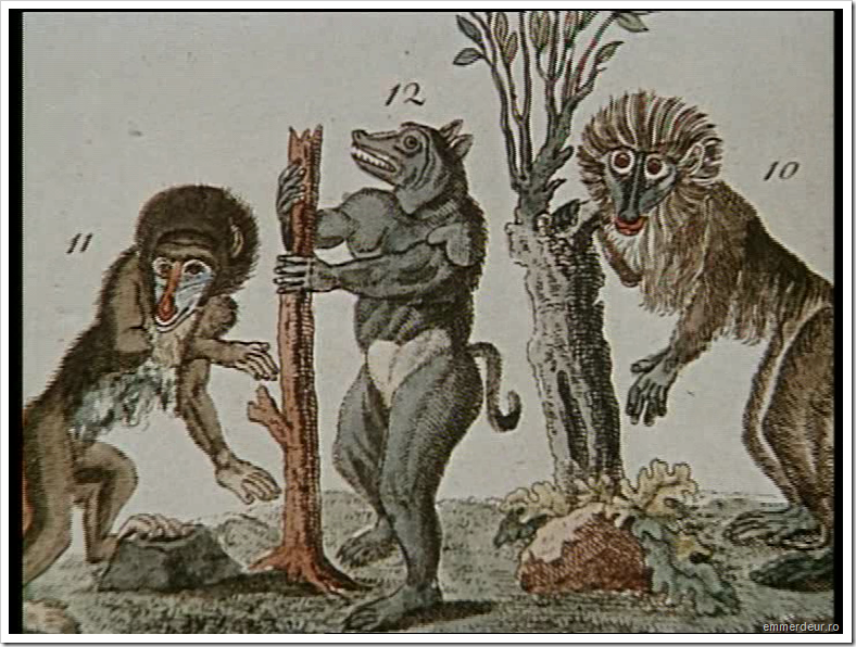jan svankmajer historia naturae emmerdeur_459 jan svankmajer historia naturae emmerdeur_459