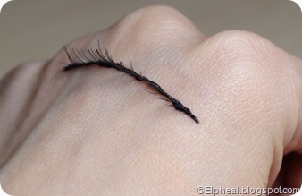 IMG_1178 IMG_1178