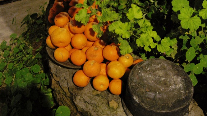 Orange pile Orange pile