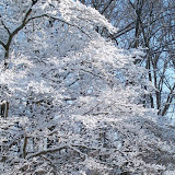 100_0445.JPG