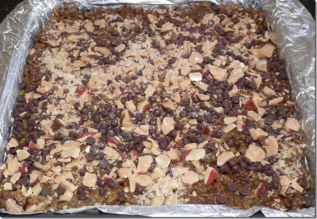 Gingerbread Cocoa Brown Rice Crispies 12-5-11