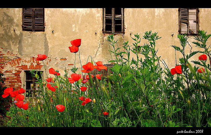 Beautiful European Countryside