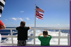 IMG_0481 IMG_0481