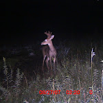 ICAM0050 (2).JPG