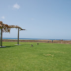 DSC_7384.JPG