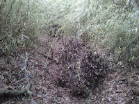 DSC_0072.JPG Photo
