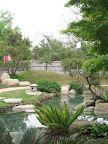There is a small Japanese garden on the grounds that was donated by San Antonio's sister city in Japan, Kumamoto. They actually sent designers and gardeners from Japan to install it.