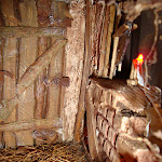 1461-8.JPG